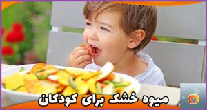فواید میوه خشک برای کودکان