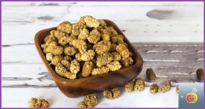 توت خشک برای لاغری