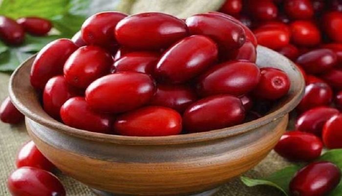 طرز تهیه خواص زغال اخته