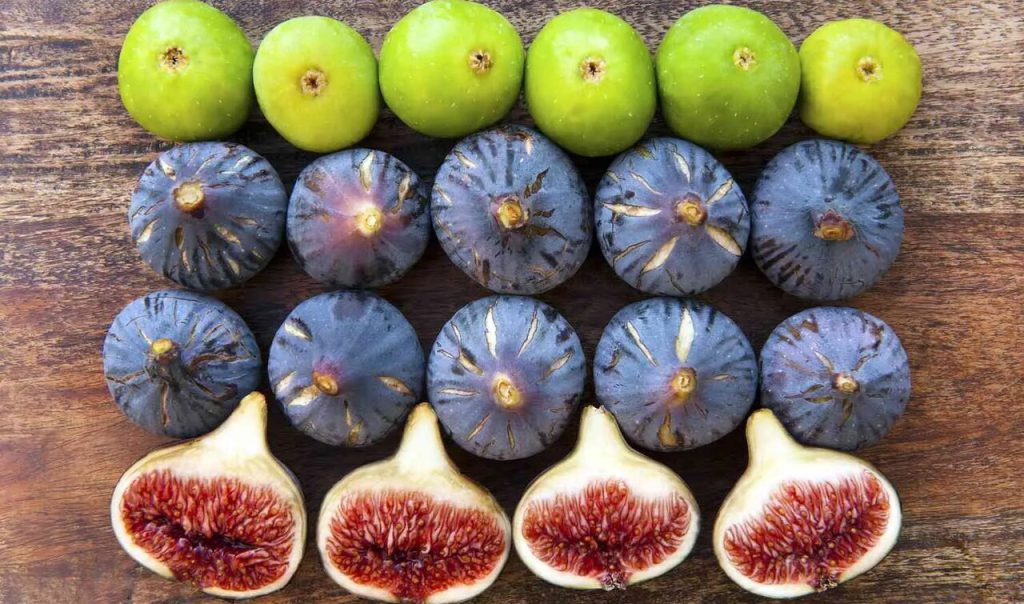 مهمترین فواید انجیر خشک