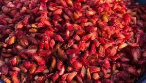 دانه انار خشک شده