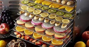 بررسی مزایا و معایب چیپس میوه یا میوه خشک؟