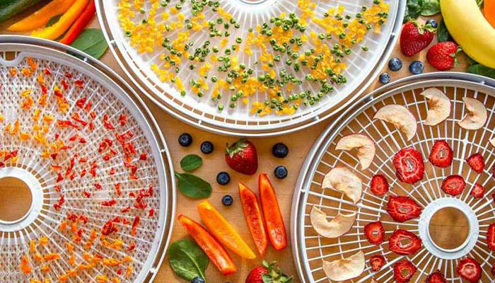 مقایسه روش های خشک کردن میوه