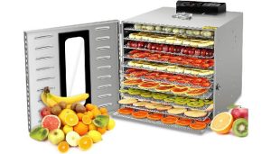 میوه خشک خانگی یا صنعتی