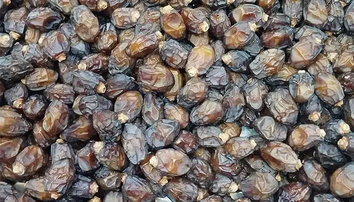 خرما خشک و تأمین انرژی