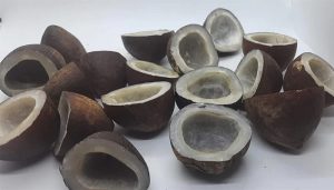 نارگیل خشک برای سوخت رسانی به مغز