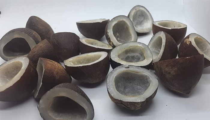 نارگیل خشک برای سوخت رسانی به مغز